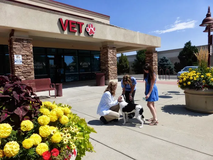 Lafayette Companion Animal Hospital 5