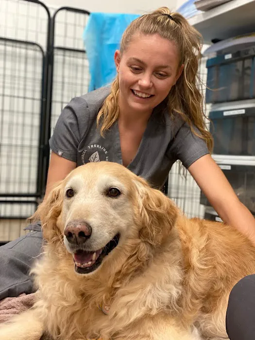 TREELINE VETERINARY CANCER CARE 8