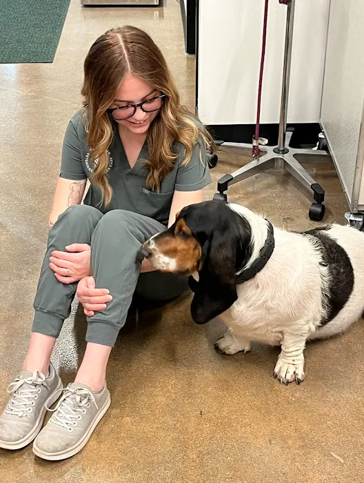 TREELINE VETERINARY CANCER CARE 7
