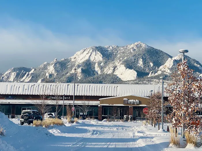 TREELINE VETERINARY CANCER CARE 3