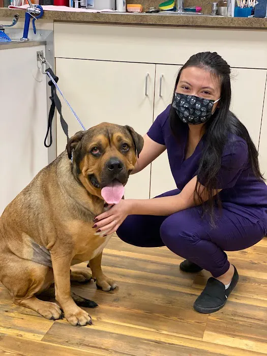TREELINE VETERINARY CANCER CARE 2
