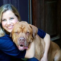 TREELINE VETERINARY CANCER CARE ico