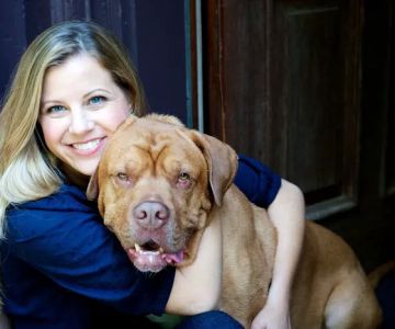 TREELINE VETERINARY CANCER CARE