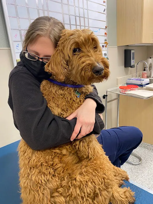 TREELINE VETERINARY CANCER CARE 4