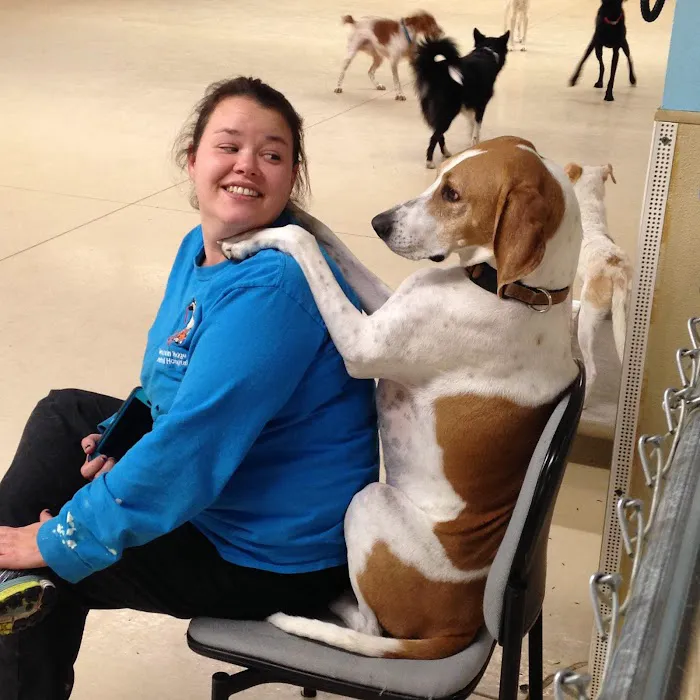 Mountain Ridge Animal Hospital 5