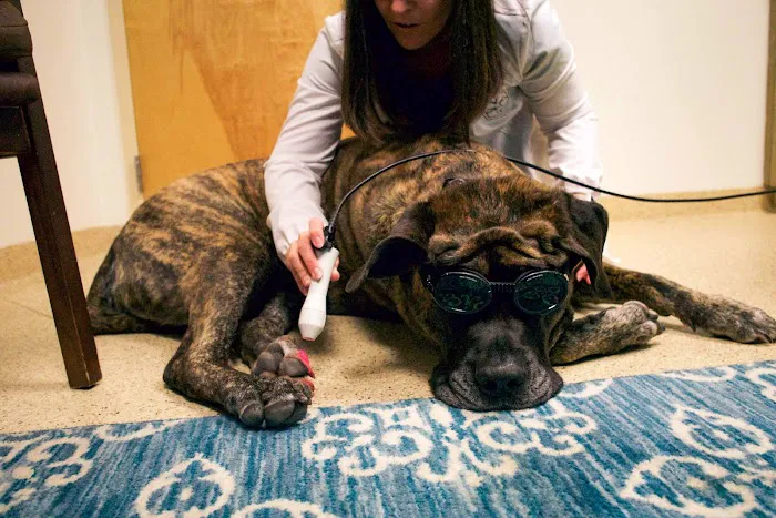 Mountain Ridge Animal Hospital 10