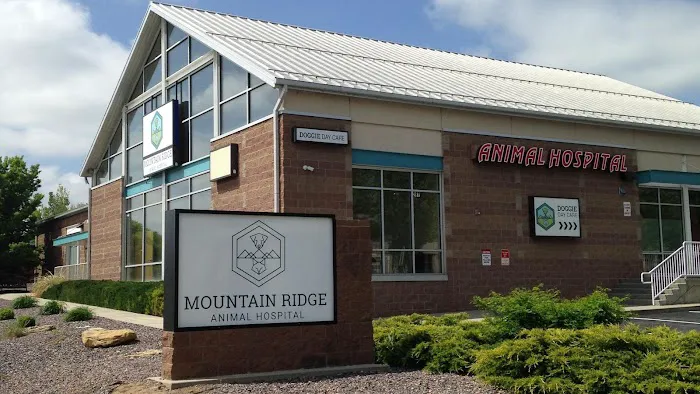 Mountain Ridge Animal Hospital 9