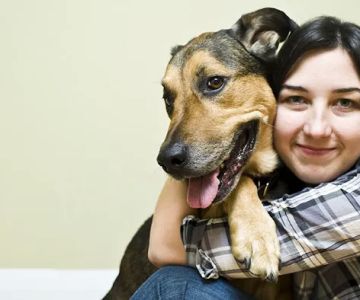 Aurora Animal Hospital