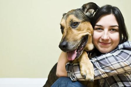 Aurora Animal Hospital