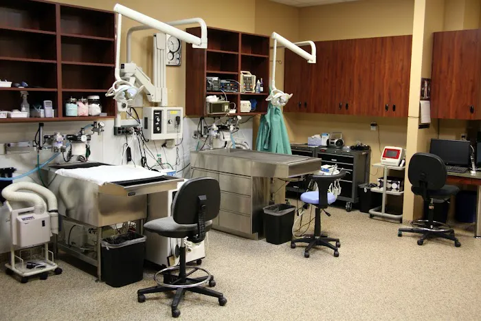 Mile High Animal Hospital, A Thrive Pet Healthcare Partner 7
