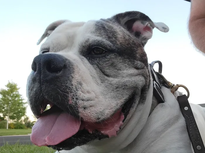 Happy Tails Veterinary Center 9