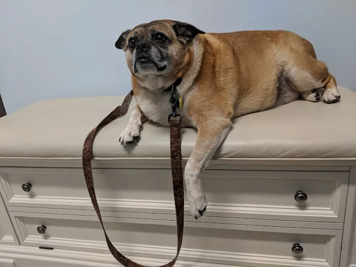 Happy Tails Veterinary Center 5