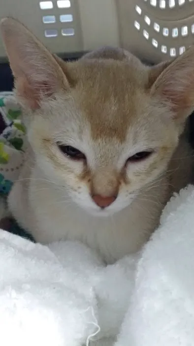 Happy Tails Veterinary Center 3