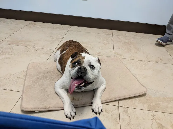 Happy Tails Veterinary Center 4