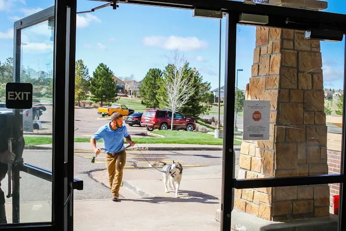 Dugan's Veterinary Hospital 12