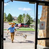 Dugan's Veterinary Hospital ico