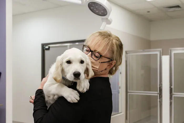 Dugan's Veterinary Hospital 12