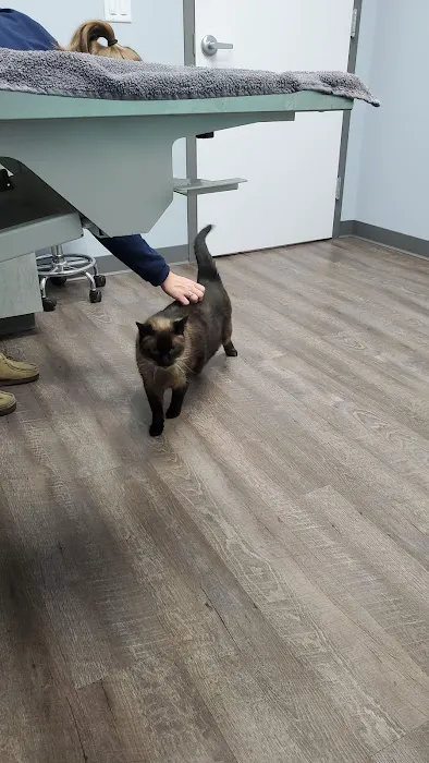 Inspire Animal Hospital 9