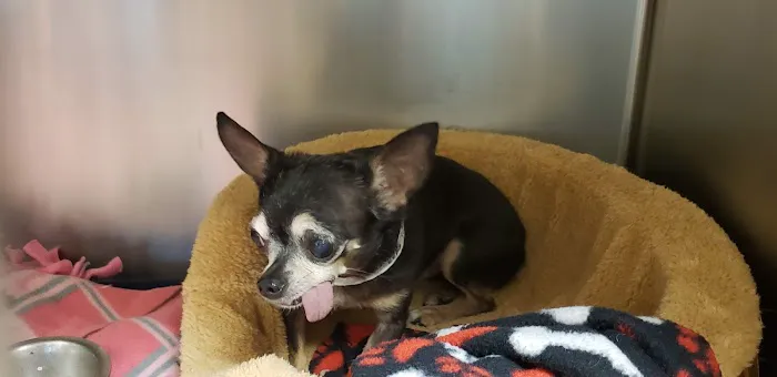 Parker Center Animal Clinic 5