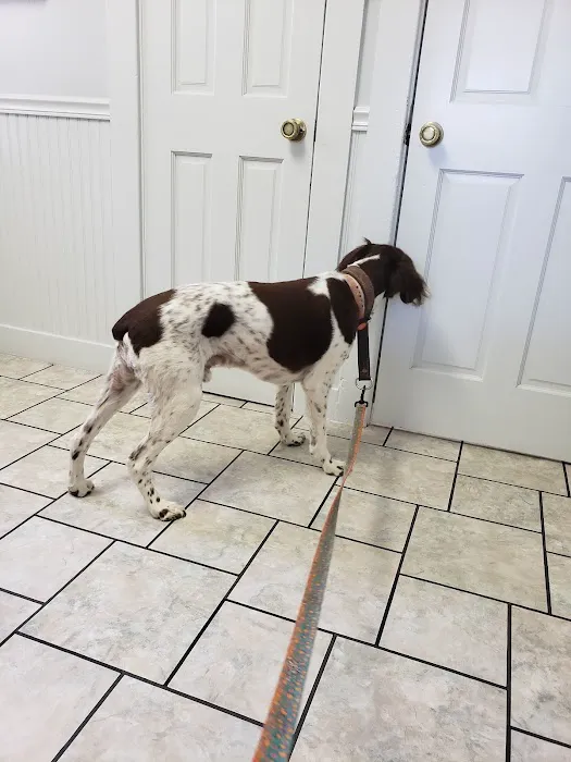 Cottage Veterinary Hospital 12