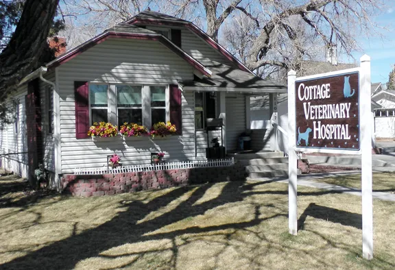 Cottage Veterinary Hospital 12