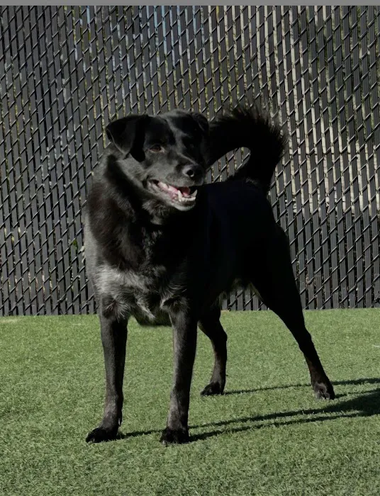 Banfield Pet Hospital 8