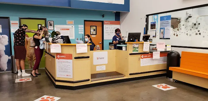 Banfield Pet Hospital 3