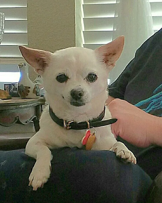 Banfield Pet Hospital 1