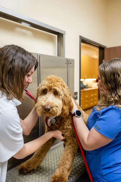 Franktown Animal Clinic 5