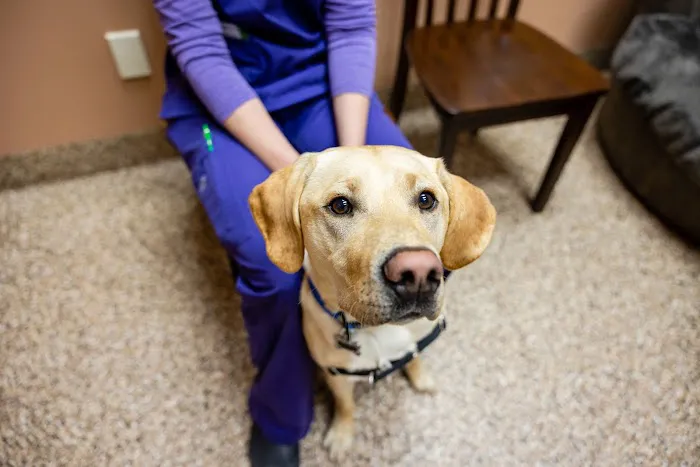 Franktown Animal Clinic 1