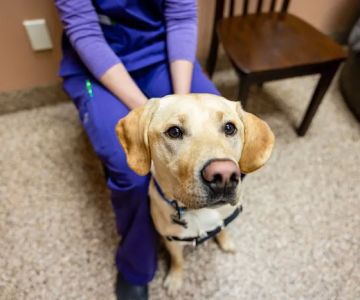 Franktown Animal Clinic