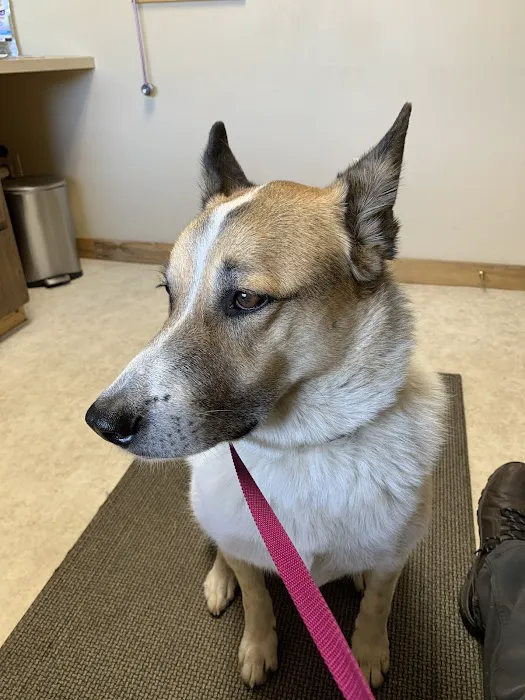 Nederland Veterinary Hospital 3