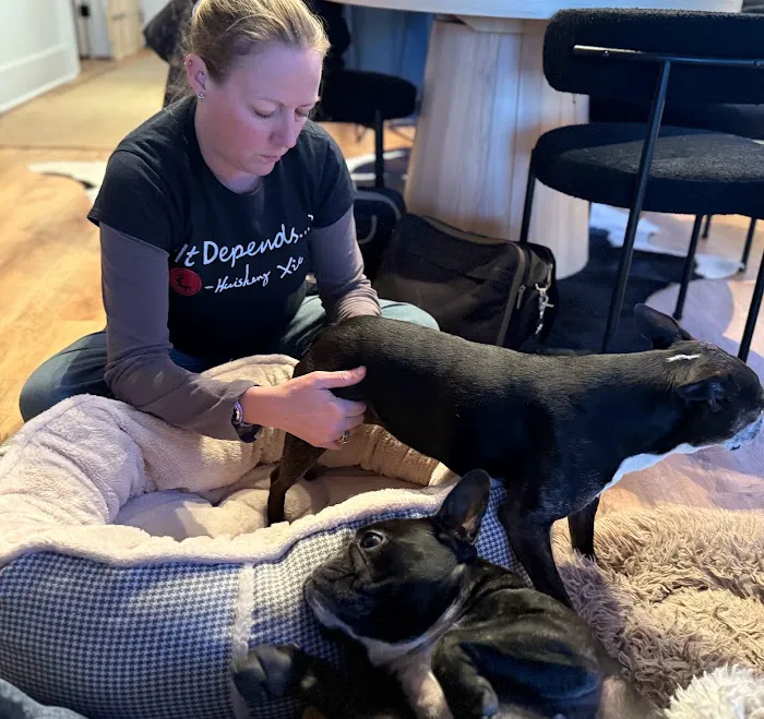 Bailey Holistic Veterinary Care 3
