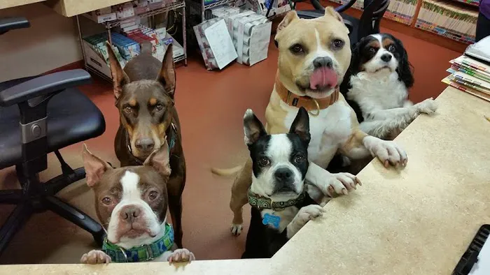 Cedar Brook Animal Hospital 1