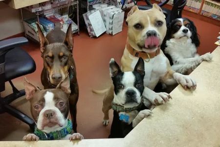 Cedar Brook Animal Hospital