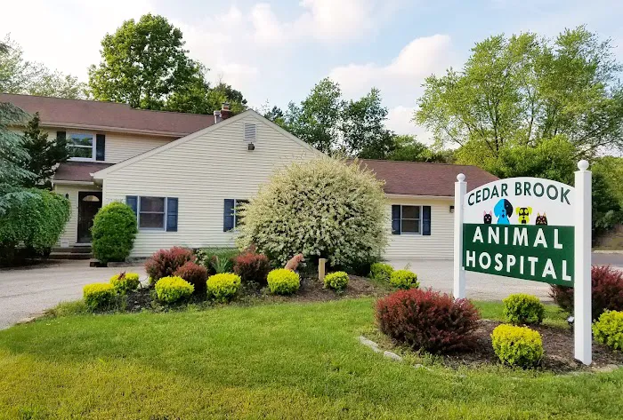 Cedar Brook Animal Hospital 8