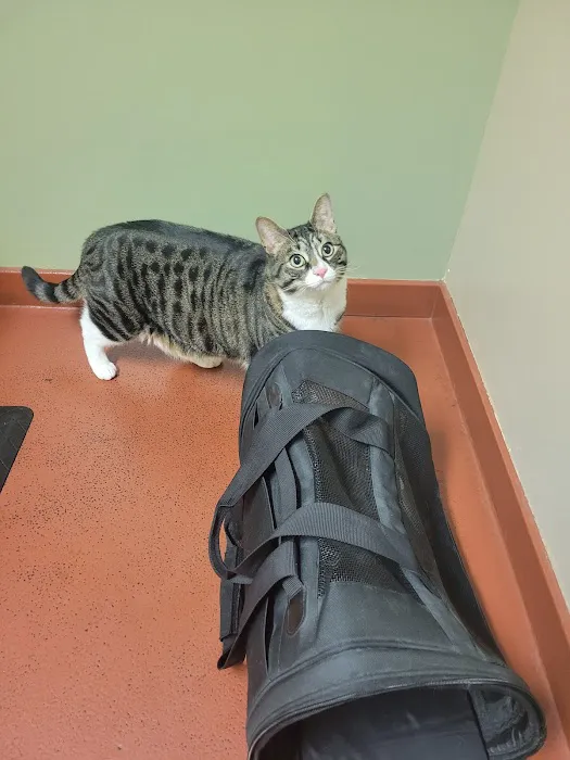Cedar Brook Animal Hospital 2