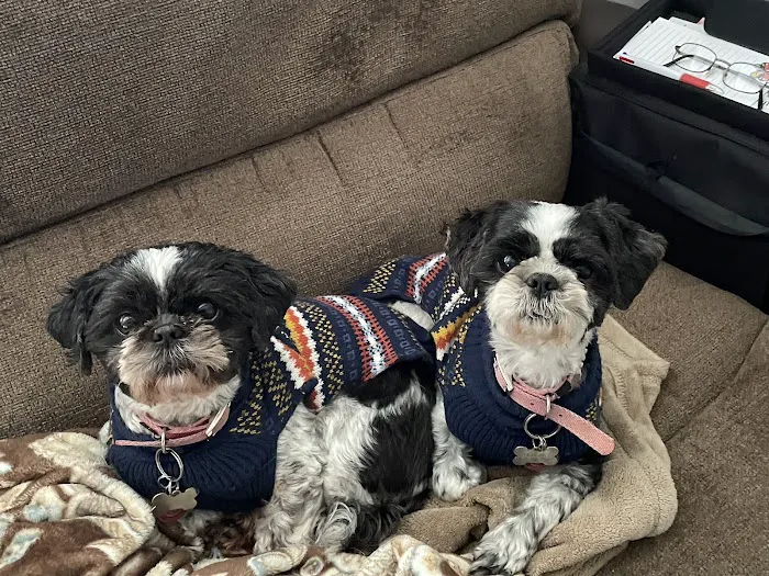 Brandywine Veterinary Hospital - Greenville 12