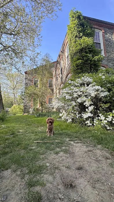 Brandywine Veterinary Hospital - Greenville 12