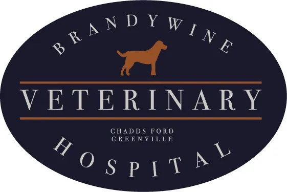 Brandywine Veterinary Hospital - Greenville 12