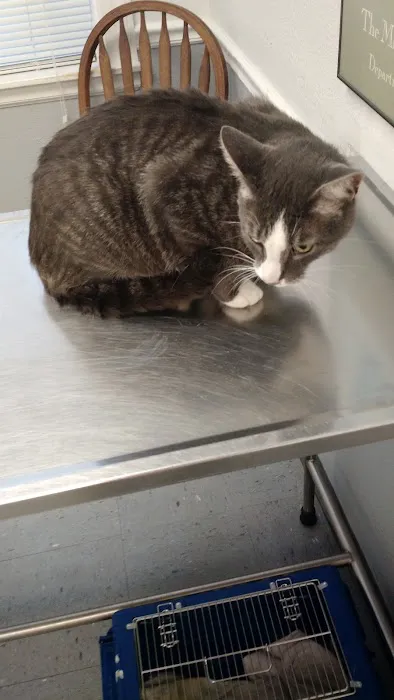 Kentmere Veterinary Hospital 2
