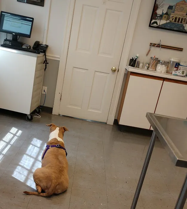 Kentmere Veterinary Hospital 5