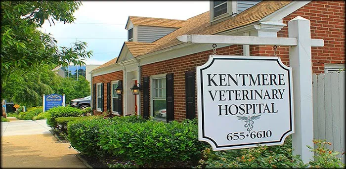 Kentmere Veterinary Hospital 7