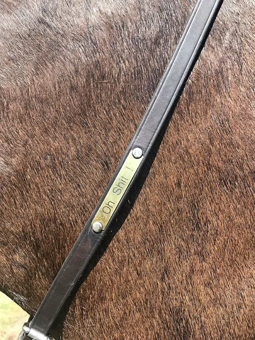 Bessemer Equine 6