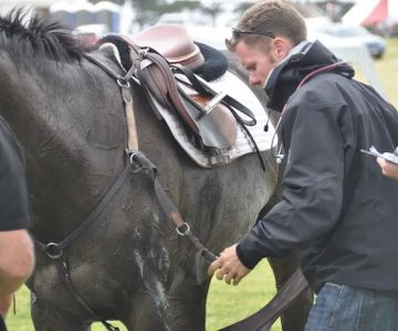 Bessemer Equine