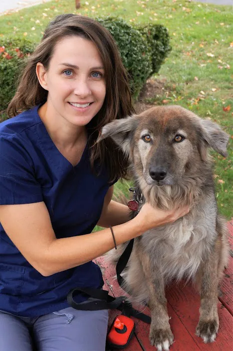 Wilmington Animal Hospital 12