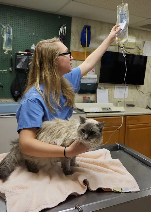 Wilmington Animal Hospital 12