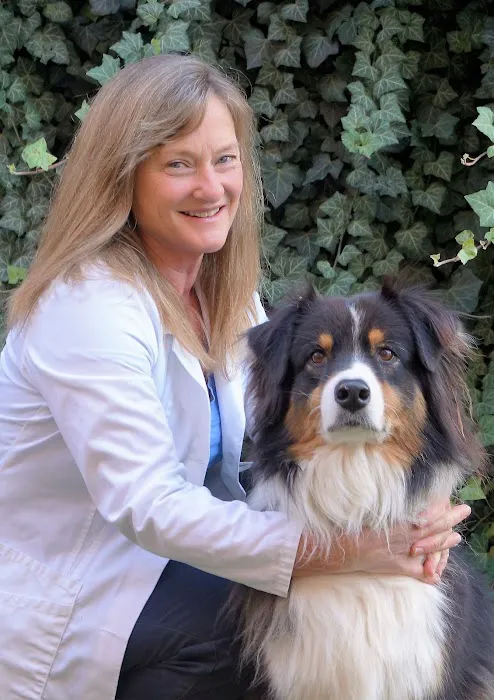 Wilmington Animal Hospital 12