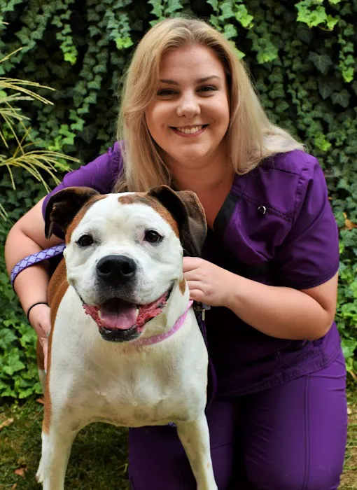 Wilmington Animal Hospital 12