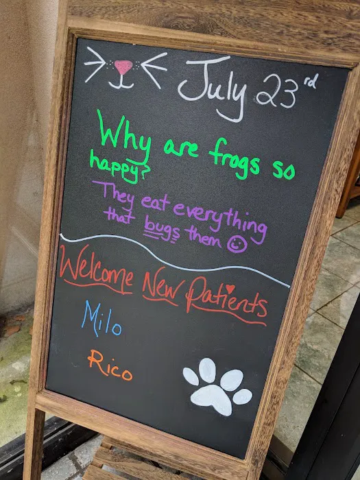 Wilmington Animal Hospital 12
